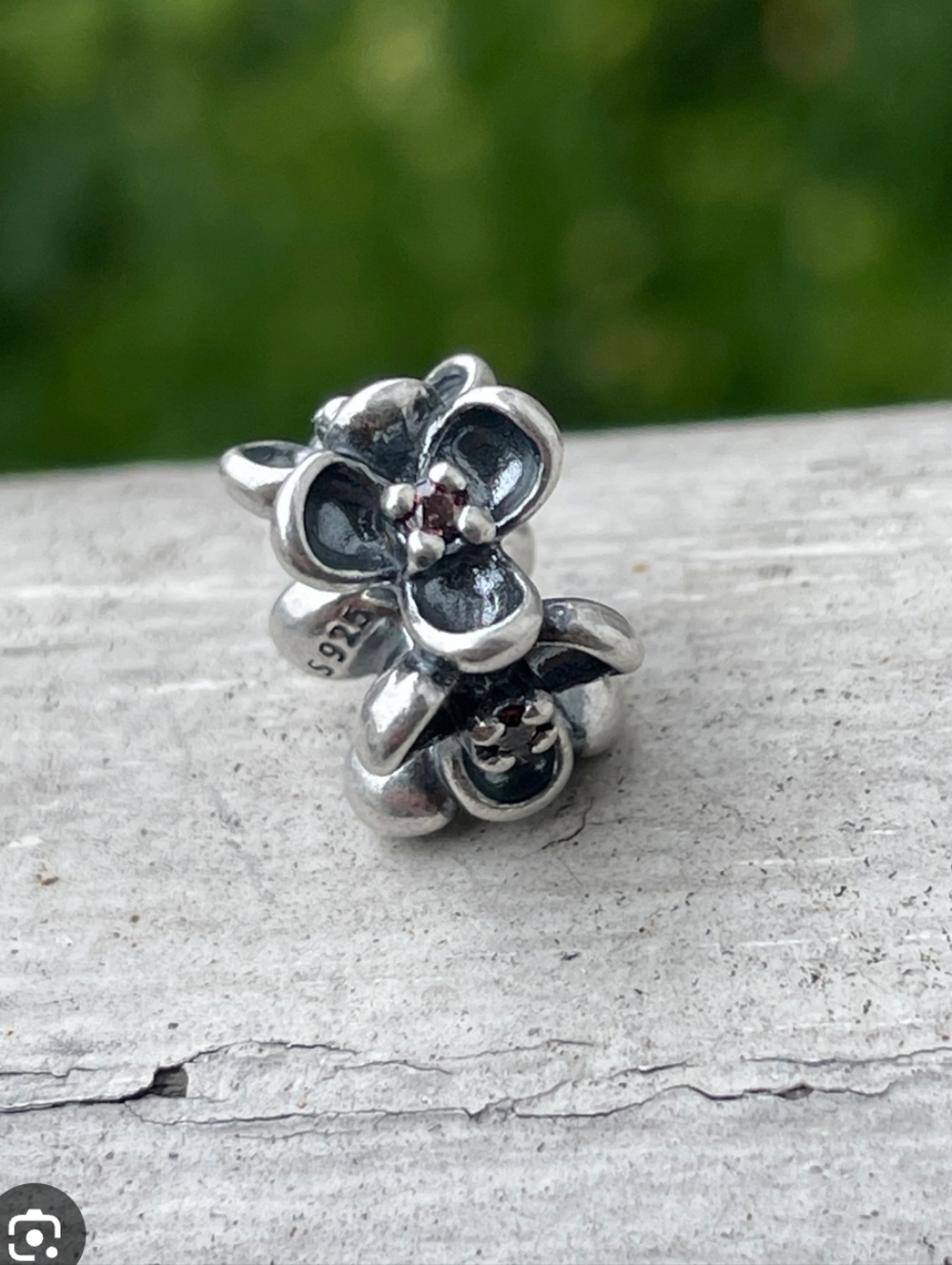 Pandora Wanda’s garden spacer charm